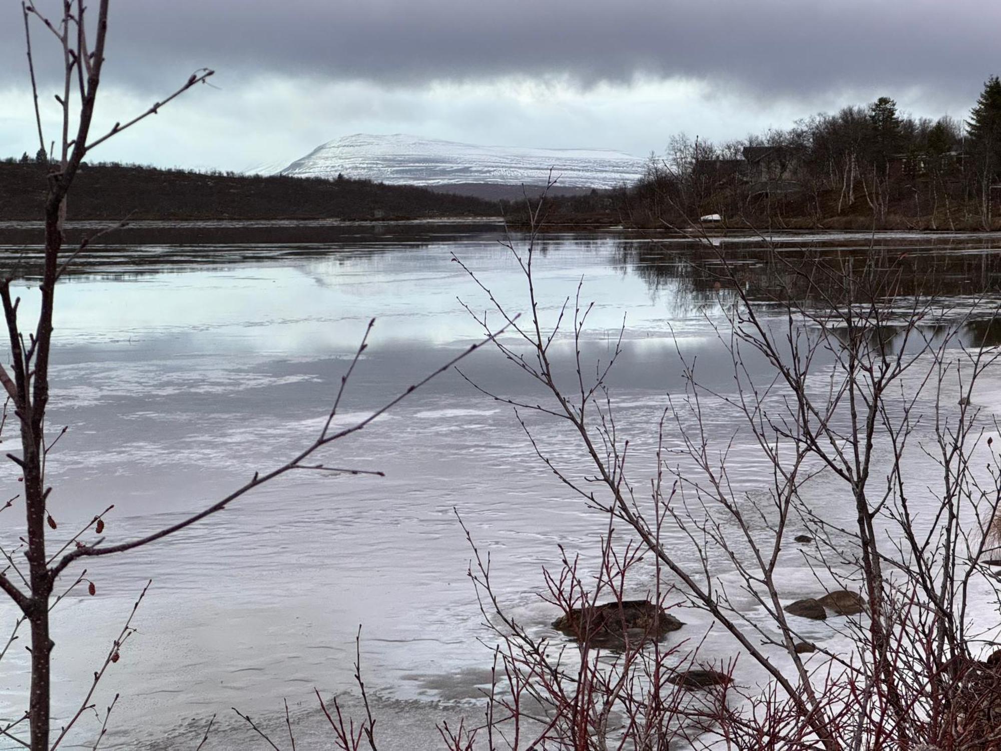 Cottage Lavkavann Finnmarksvidda Skoganvarre Экстерьер фото