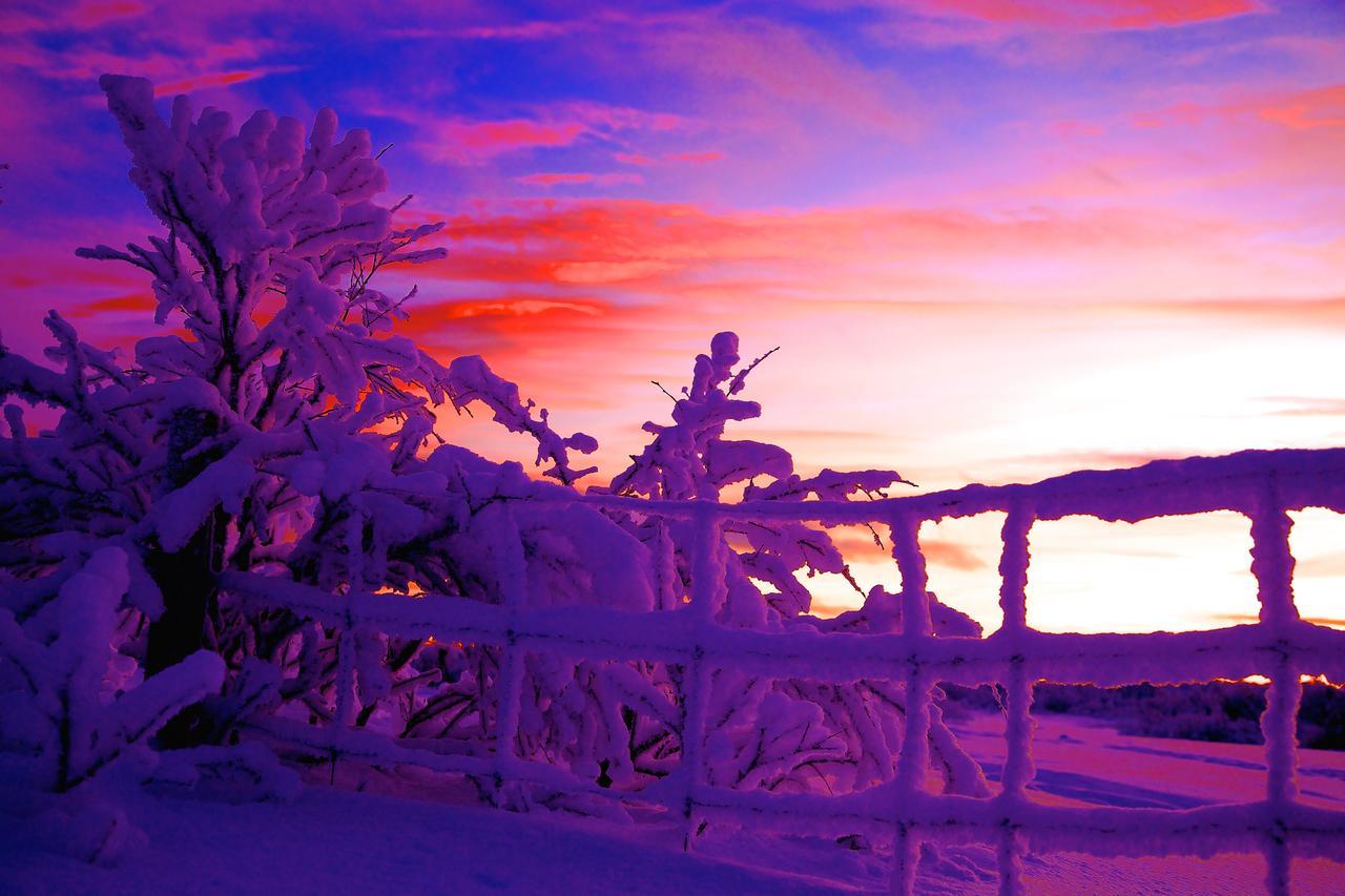 Cottage Lavkavann Finnmarksvidda Skoganvarre Экстерьер фото